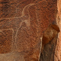 Prehistoric rock engraving of a Gazelle about one kilometers south of our campground in Tafraout
